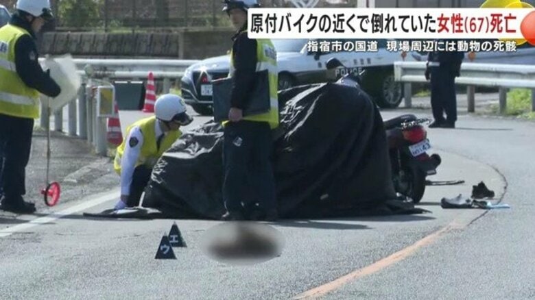 朝の国道で悲劇　67歳女性が搬送先で死亡  原付横転と動物の死骸、警察が原因を詳しく調べる｜FNNプライムオンライン