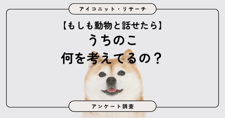 【動物と話せたら？】8割超が選んだのは珍しい動物より「身近な動物の本音」　6,832人に聞いてみた【SEO・AIO時代に効く一次データ・アンケート調査受託】