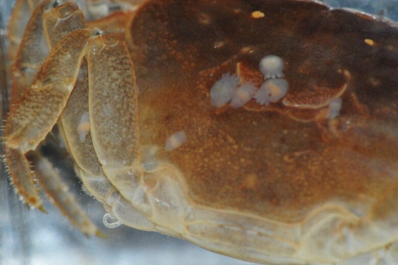 提供：宮崎亘さん