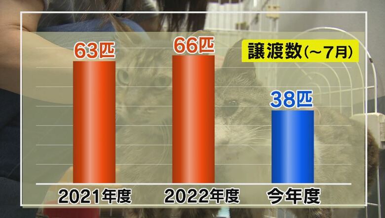 参加者低調で譲渡数も減少