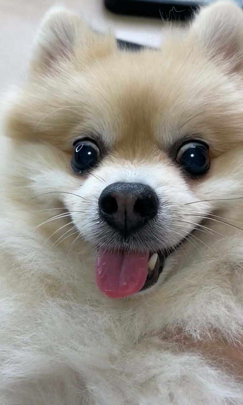 爪切りをすると、ユニークな表情を見せることも