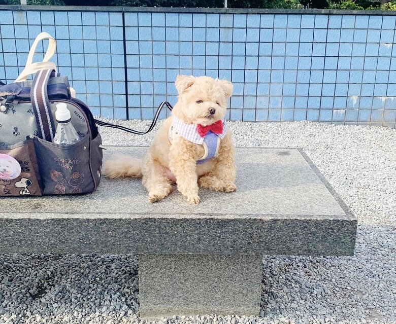 別日にも別の場所で、同じような姿を撮影している