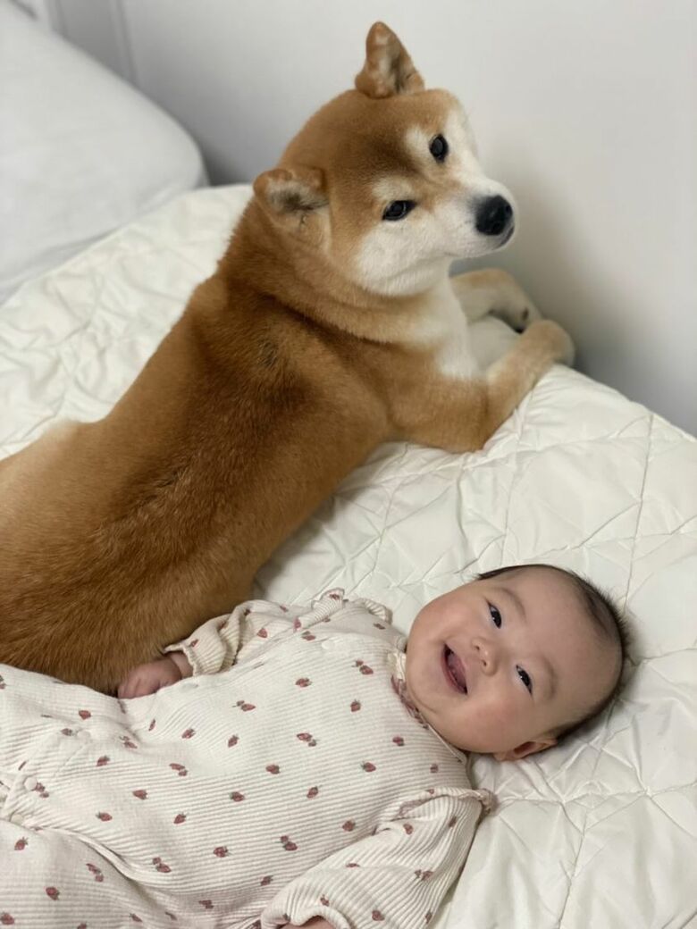 提供：torakichi602さん