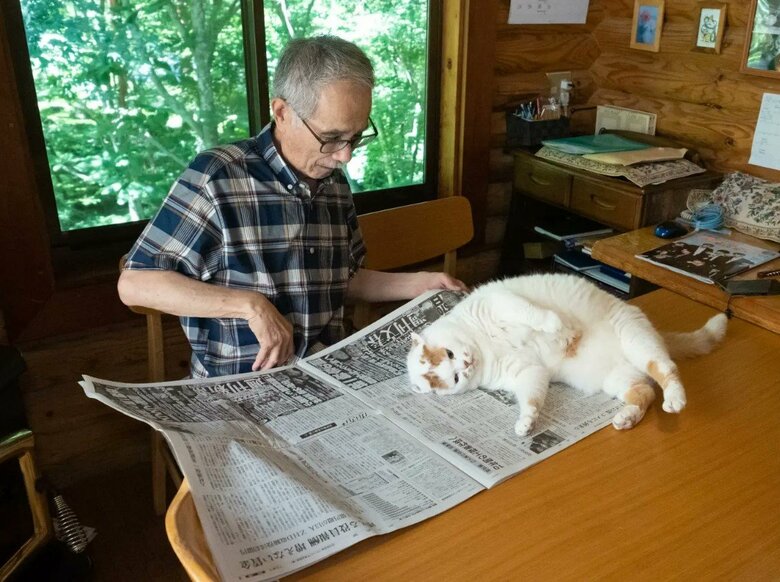 新聞を読もうとすると邪魔ばかり（提供：MARCOさん）