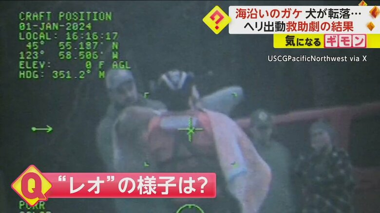 飼い主に抱きかかえられる犬