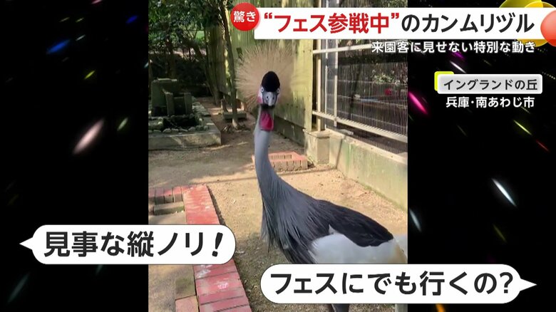 縦ノリする「つゆ」（提供：淡路ファームパークイングランドの丘）