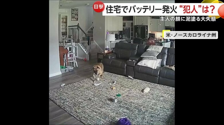 ペットの犬が噛んだ直後、発火し始めるモバイルバッテリー
