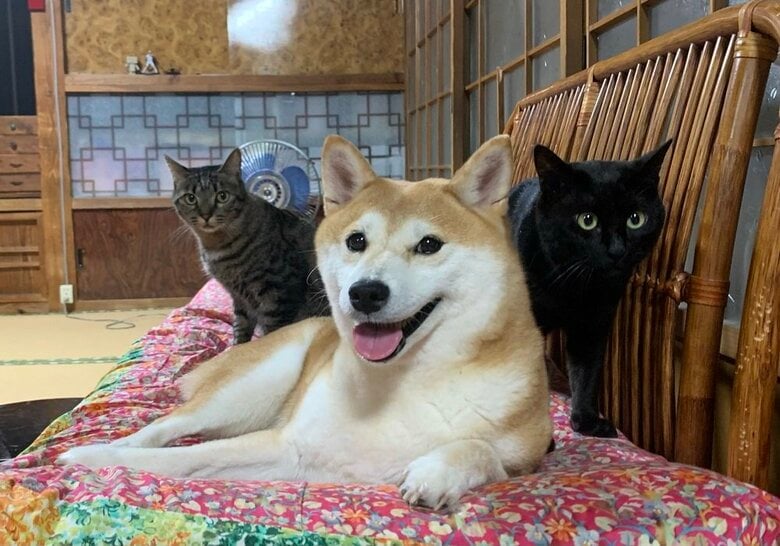 左から空くん、ももちゃん、天くん