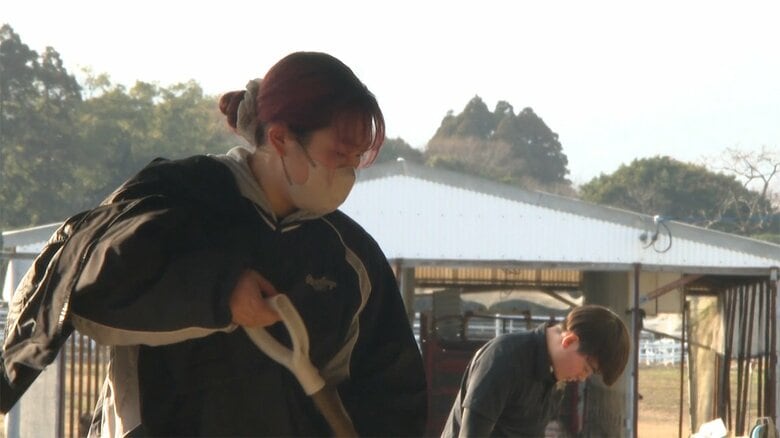 畜産学科で酪農を専攻する横山絢子さん