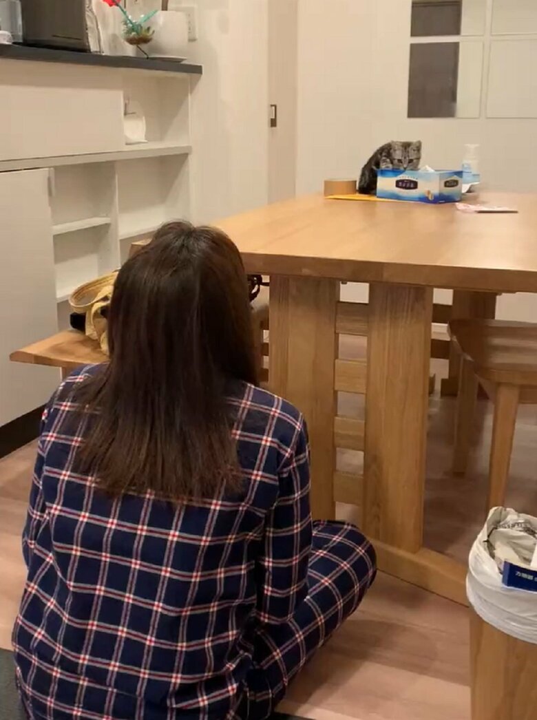 あんこくんのだるまさんが転んだ