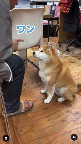 提供：エイトデザイン