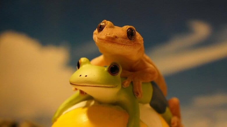 カエルの上でニッコリヤモヤモちゃん