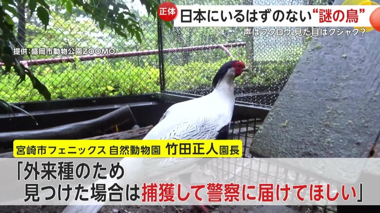 「ハッカンは外来種のため、見つけた場合は捕獲して警察に届けてほしい」と呼びかけている竹田園長