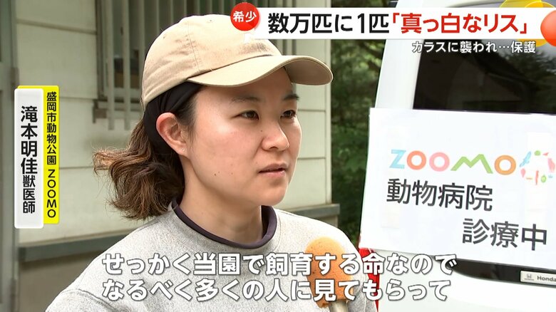「なるべく多くの人に見てもらって」と話す盛岡市動物公園ZOOMO・滝本明佳獣医師