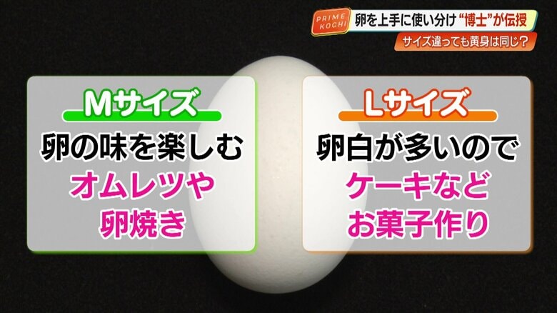 目的に合わせたサイズ選択の例