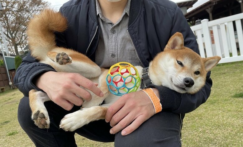 ドッグランでは抱っこされていることが多いそう