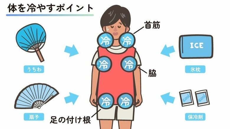 応急処置の際に体を冷やすポイント（日本気象協会「熱中症ゼロへ」の情報をもとに作成）