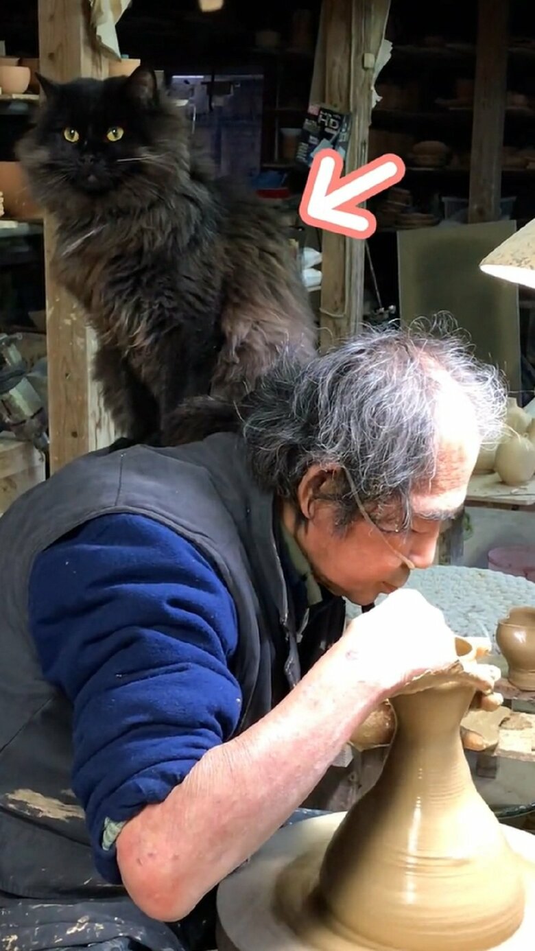 主役はネルソンくんです