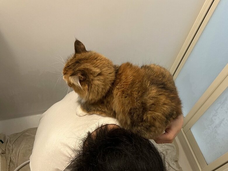 濡れる前からお風呂に入ると…