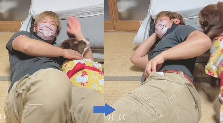 トモさんが寝返りを打つ