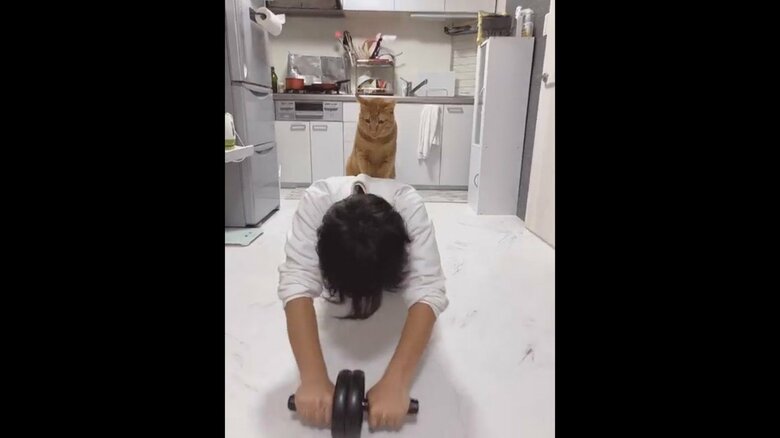 提供：たぬき&とらさん