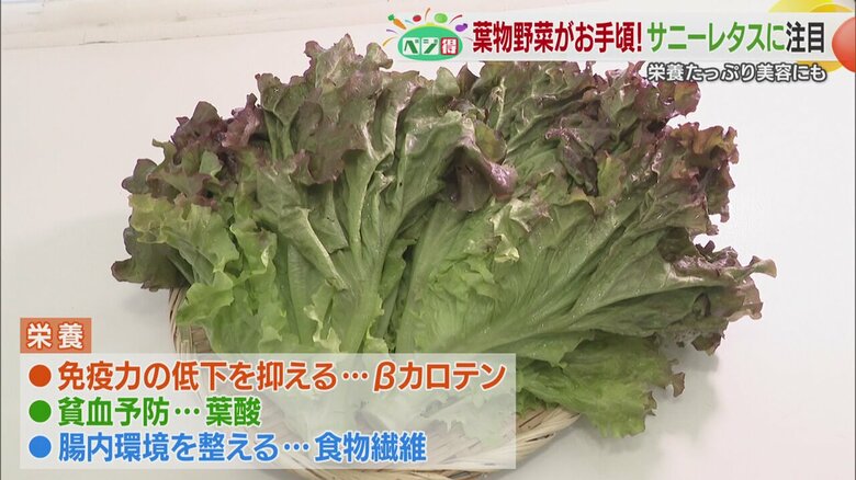 サニーレタスの栄養価