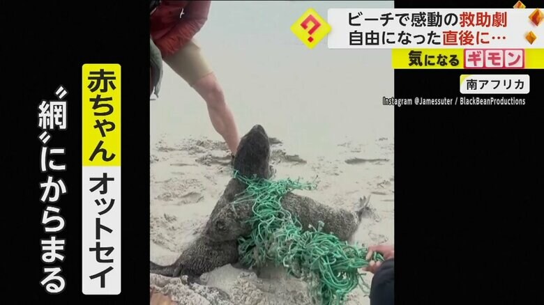 首を締め付けられ、身動きが取れなくなっている