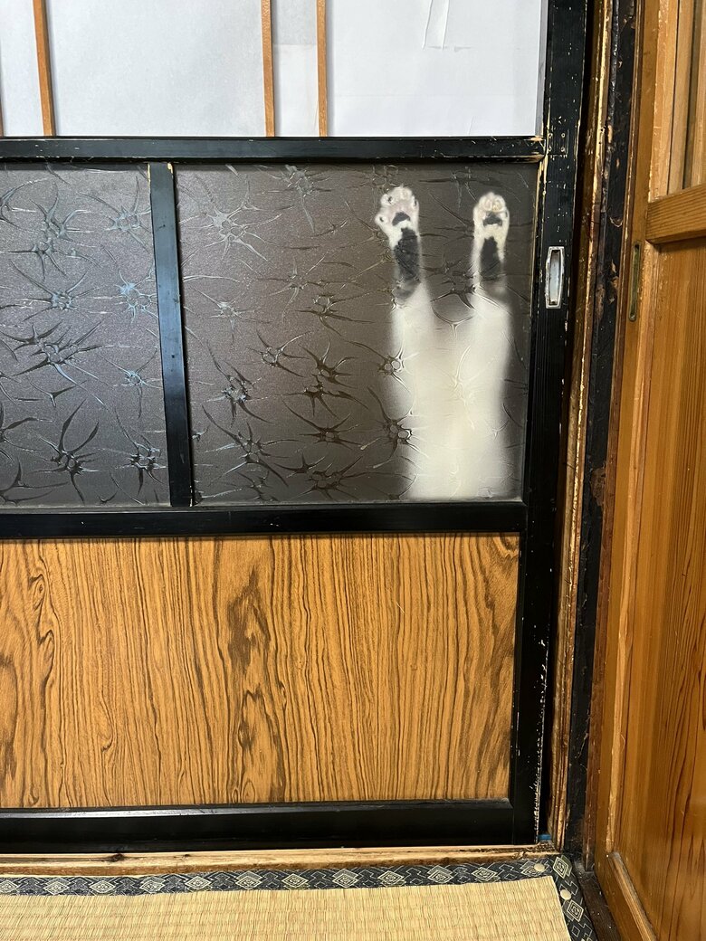 提供：いのうえもんぺさん