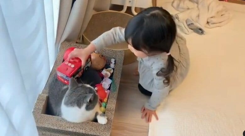 ごまくんを埋めていくみゆちゃん