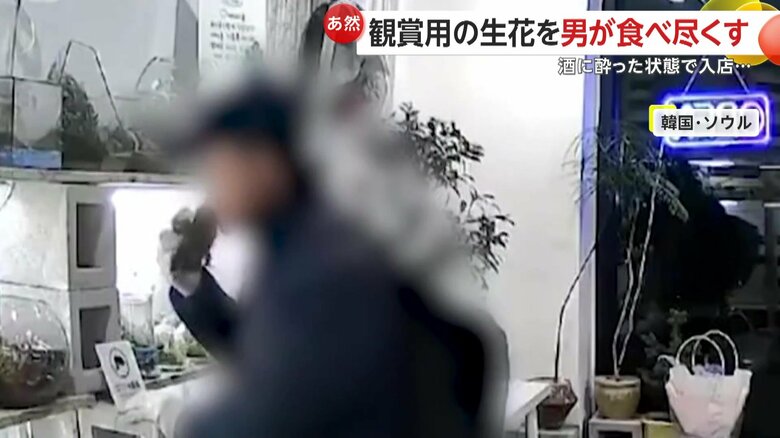 食べ放題のサラダバーにいるかのように、勝手気ままに植物を食べていた男