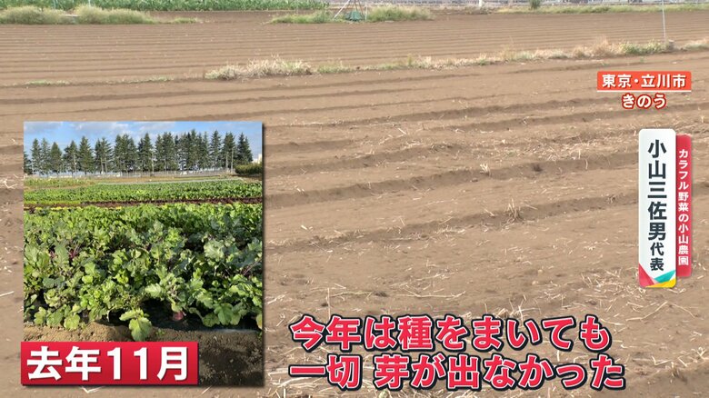 2022年11月の農園を比較