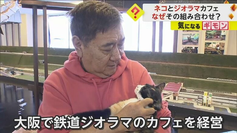 ネコをなでる伊勢ジオラマ食堂オーナー・寺岡直樹さん