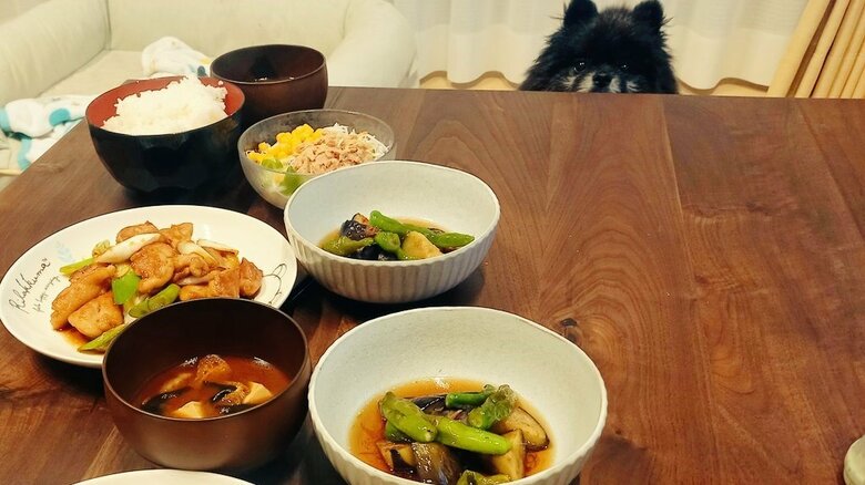 ご飯を作るのを見にくるという