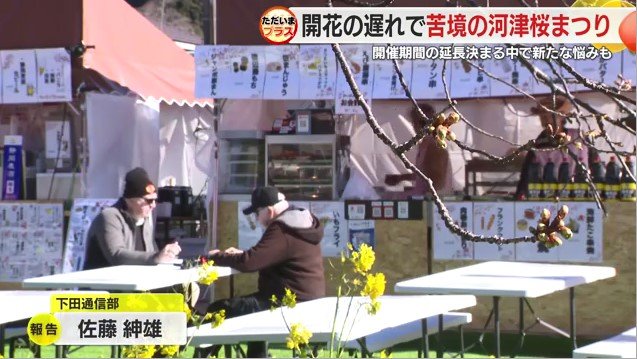 河津桜まつりの飲食スペース（2025年2月）