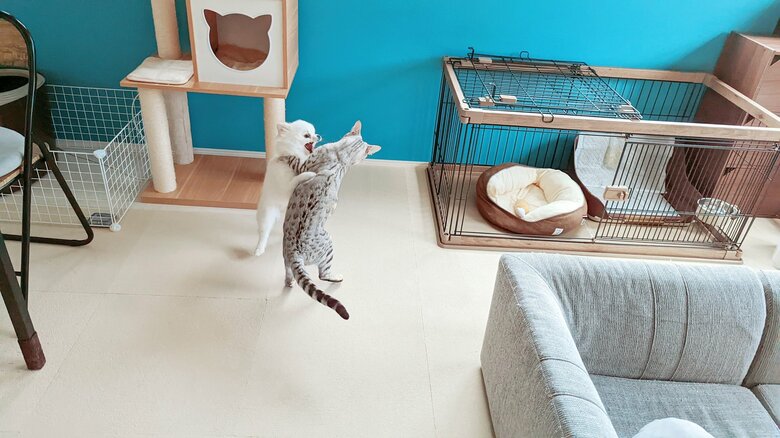 これまた激しい！