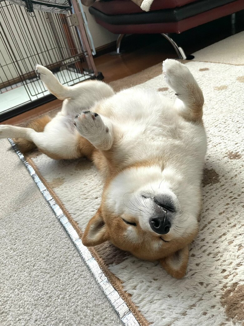 提供：うにさん