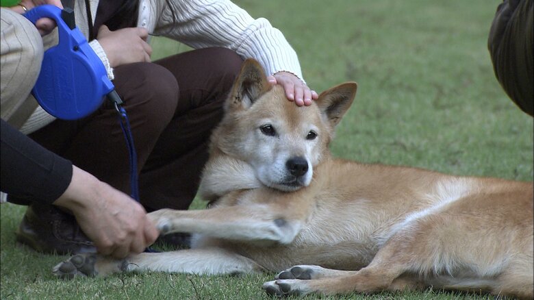 愛子さま6歳の誕生日映像にピッピとまりが登場　2007年11月　宮内庁提供