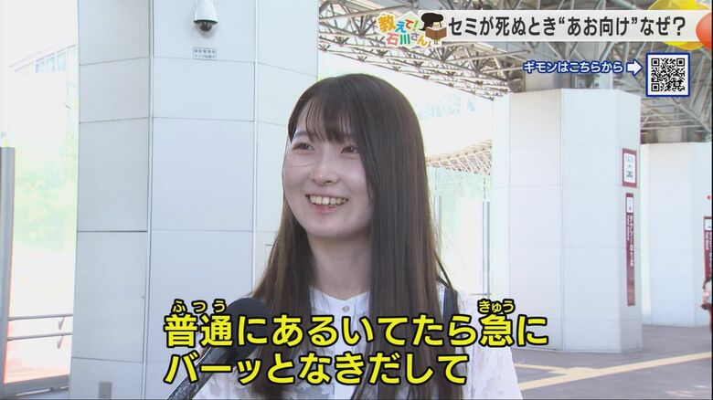 「普通に歩いてたら急にバーッと鳴きだしてめっちゃ焦った」と語る女性