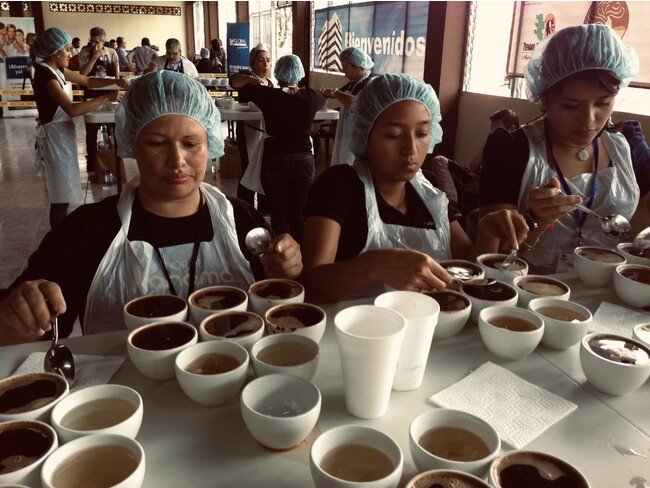 ベスト オブ パナマ：ゲイシャ発祥の コーヒー品評会　2023年は、総勢１８６種類のパナマのコーヒーから世界一のパナマゲイシャが生まれる品評会。品評会後に開かれるコーヒーオークションで毎年世界一のコーヒーが決まる。