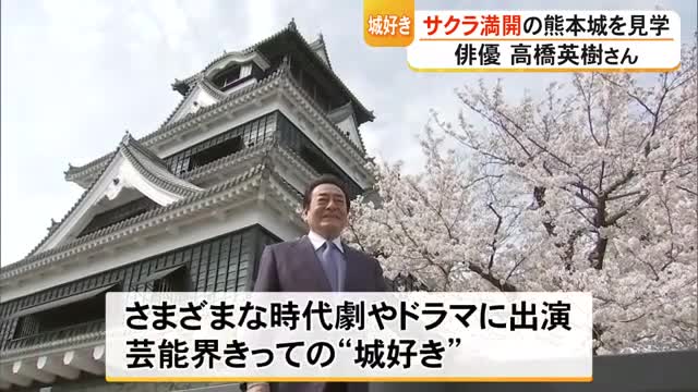 「石垣が好き」芸能界きっての〈城好き〉俳優 高橋英樹さんが満開のサクラの熊本城を見学