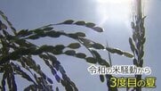 農家「早くやめた方が勝ち」新米の”買い取り価格”が急落　JA福井県コシヒカリ内金は60キロ1万7000円　「令和の米騒動」が生んだ「コメ余り」