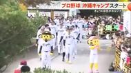 プロ野球沖縄キャンプ　2月1日は６球団がキャンプイン