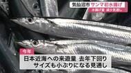 気仙沼市魚市場に今シーズン初のサンマ水揚げ　水揚げ量減で価格は去年の３倍超の高値に〈宮城〉