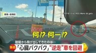 「ギャーってハンドル切って」正面から迫る逆走車にあわや衝突「心臓バクバク」　夜道で飛び出したイノシシにびっくり