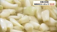 「鳥取砂丘らっきょう」を全国に出荷　甘酢漬けや醤油漬けがおすすめ！しゃきしゃき感を楽しんで