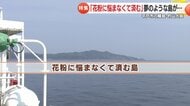 花粉に悩まなくて済む島「的山大島」飛散量は長崎市の1割　町おこしへつなげる「避粉地ワーケーション」を体験　ノーマスクだけではない島の醍醐味
