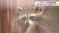 【ノースサファリ問題】除却命令から約3か月…残された動物たちの行方は？今も200匹以上が園内に「人間のせいで…動物がかわいそう」新・動物園計画も再始動―人間たちは”答え”を出せるか〈北海道札幌市〉