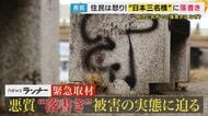 「国宝は勝手に修復できない」相次ぐ名所の『落書き被害』修復に時間かかるケースも“日本三名橋”の1つ「瀬田の唐橋」では“壁がはがれないよう”手で拭き取り「400万円の賠償金」支払ったケースも