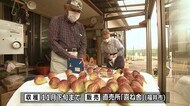 秋の味覚 完熟イチジクの収穫最盛期【福井市本郷地区】