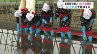 「新嘗祭」で天皇皇后両陛下に献上…田植祭